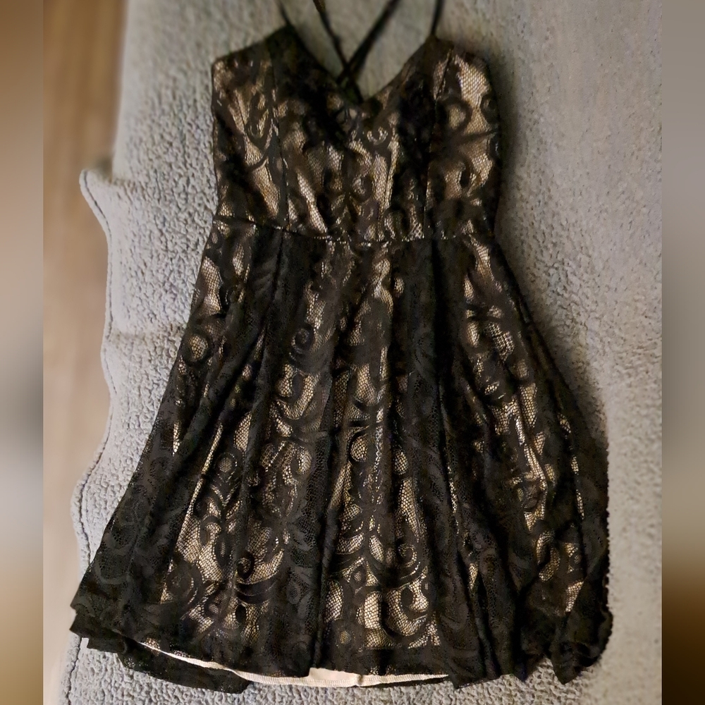 Windsor Elegant Black Lace Dress